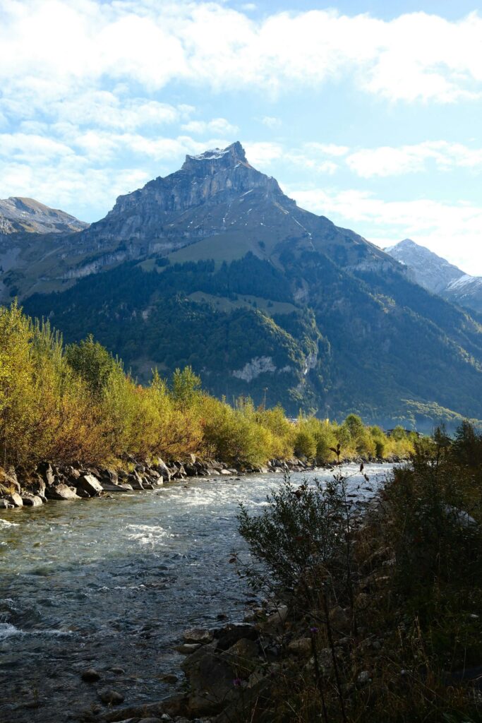 organized files desk clear workspace