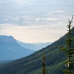 mountain trail midpoint overlook review