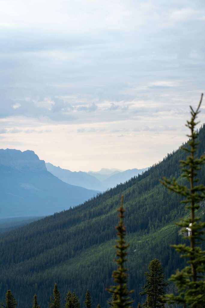 mountain trail midpoint overlook review
